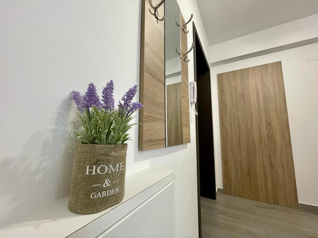 Belvedere Apartments Bukurešť Exteriér fotografie
